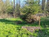 20260429_Hadravská studánka2.jpg
